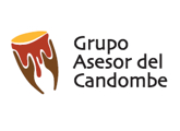 Grupo Asesor 