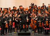 Orquesta