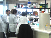 Cientificos