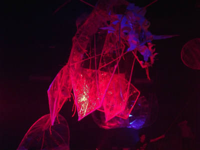 Dragón y flor iluminados en movimiento