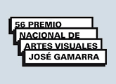Premio Nacional de Artes Visuales