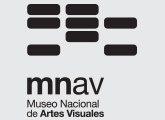 Logotipo MNAV